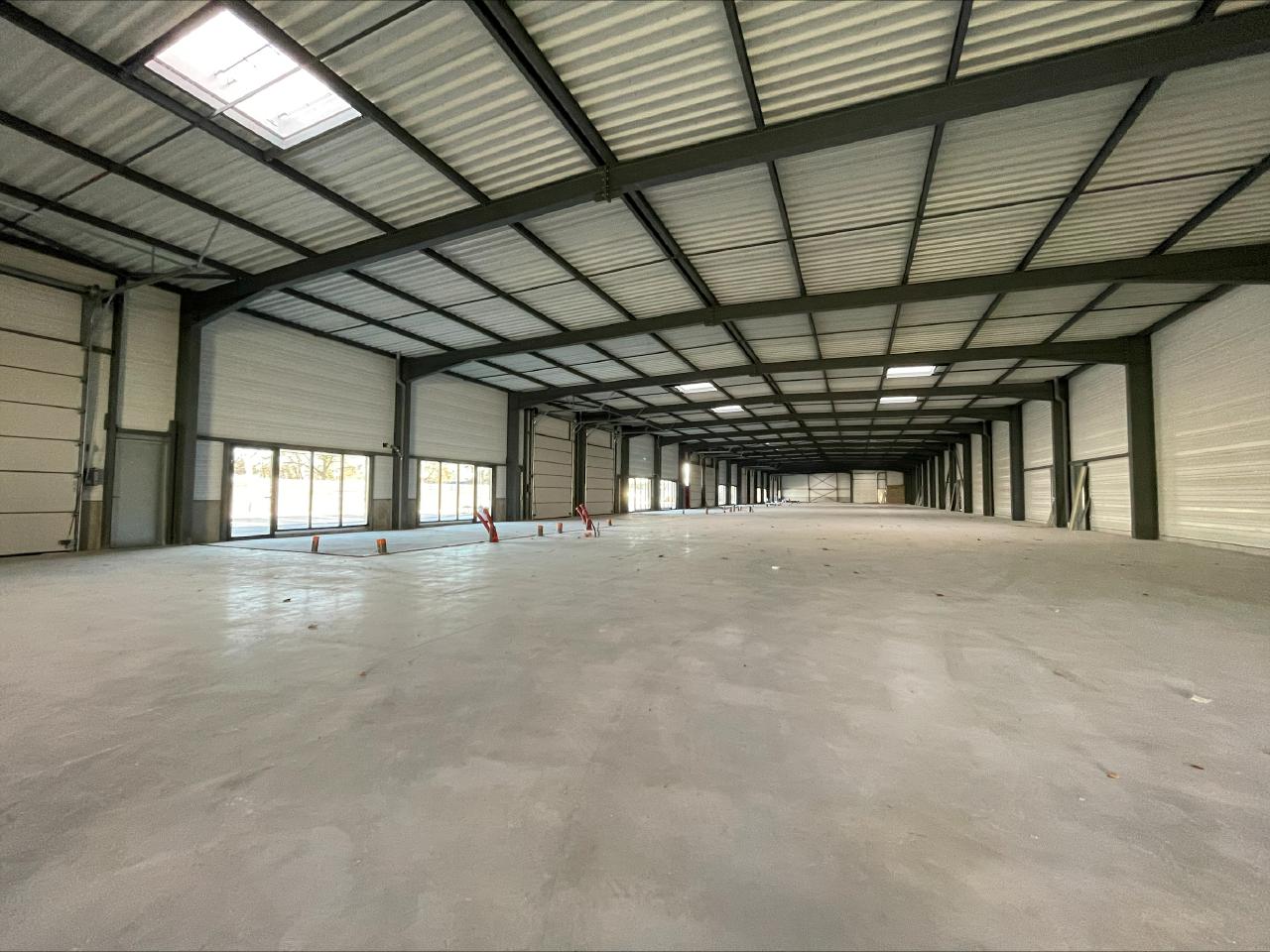 Local d'activité Schweighouse-sur-Moder 767m² Vente local d'activité Schweighouse-sur-Moder Bas-Rhin OVACT2531243 4